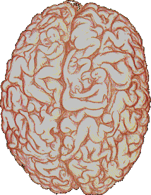 partouse