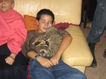 corentin