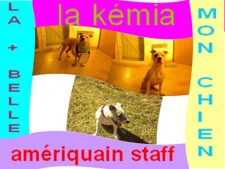 kémia mon chien